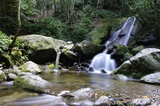 Sabah Tour Kinabalu Park 