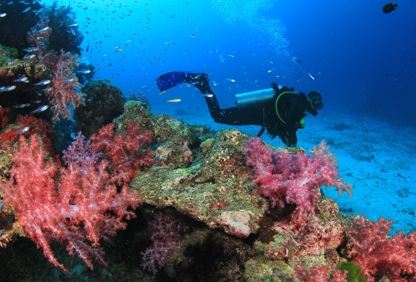 Sabah Tour Reef Pontoon