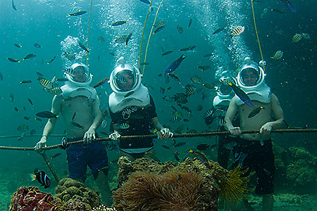 Sabah Tour Reef Pontoon