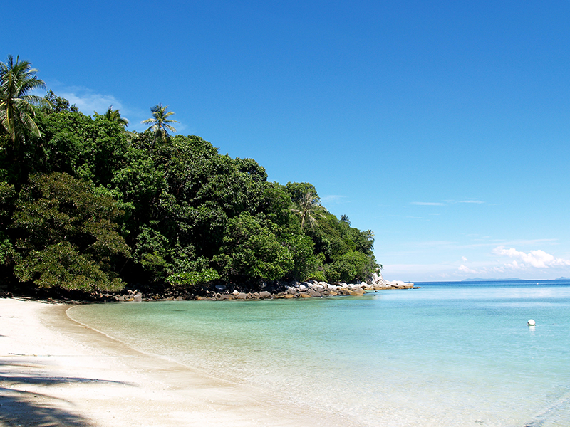 D Coconut Lagoon Resort Surrounding