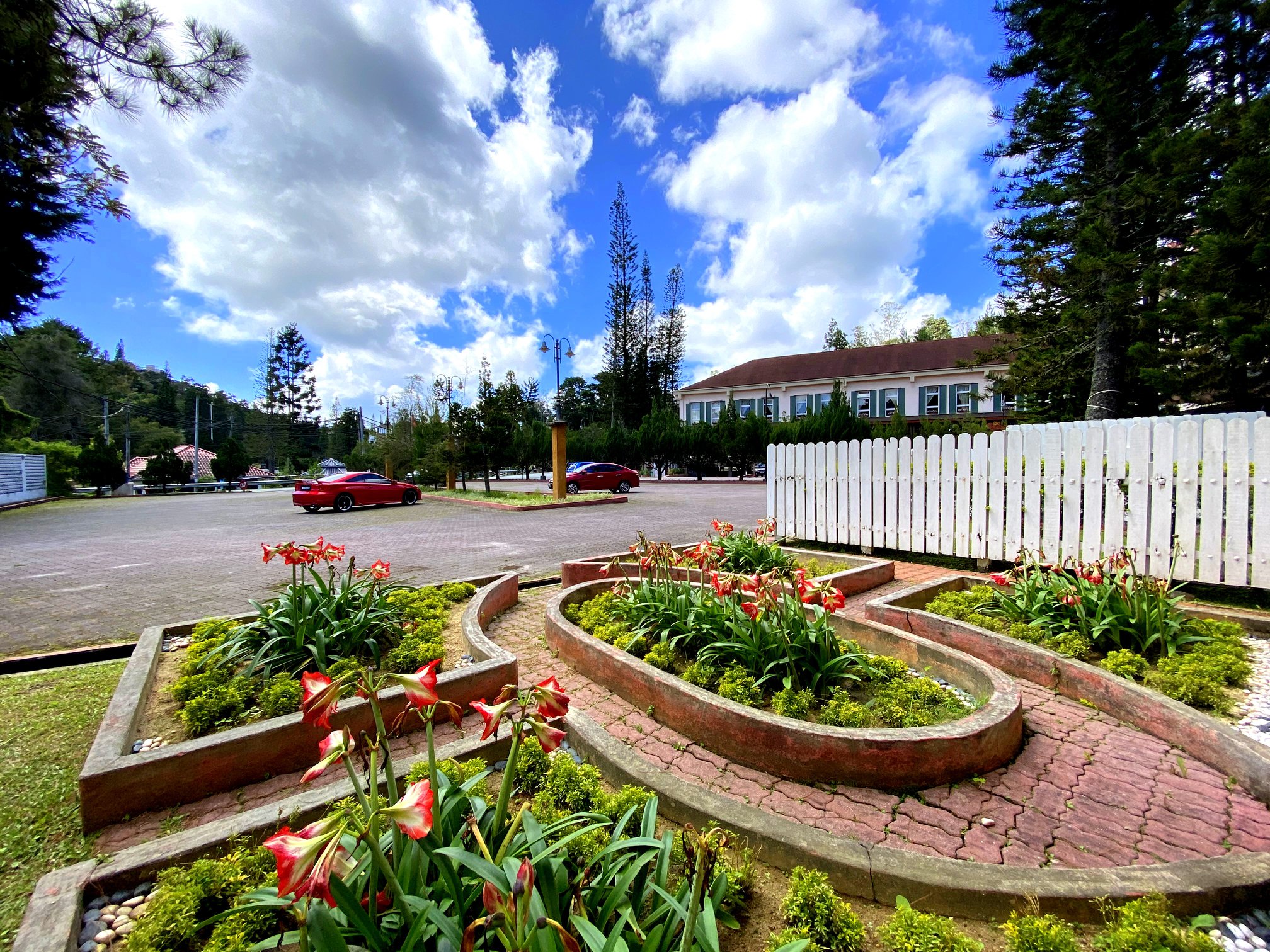 Century Pine Resort Surrounding