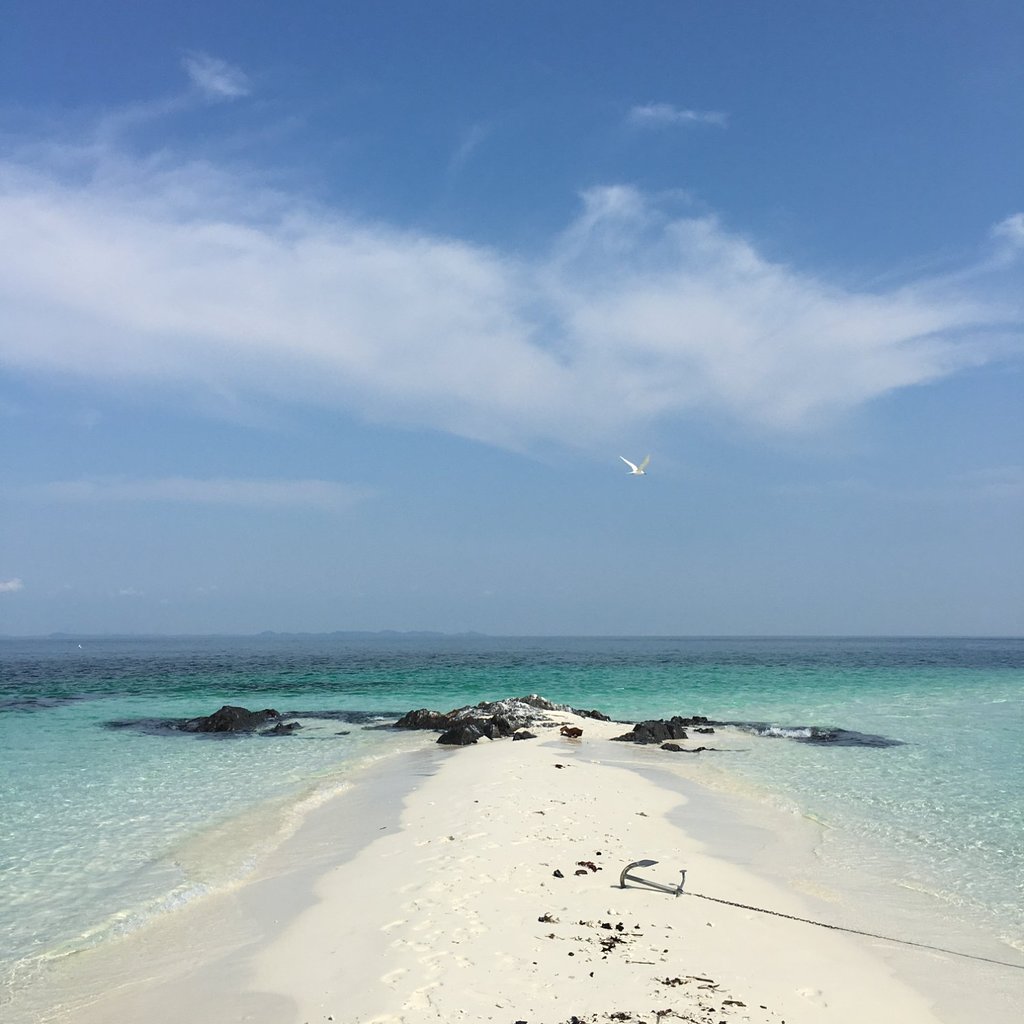 Rimba Resort Beach Rimba Surrounding