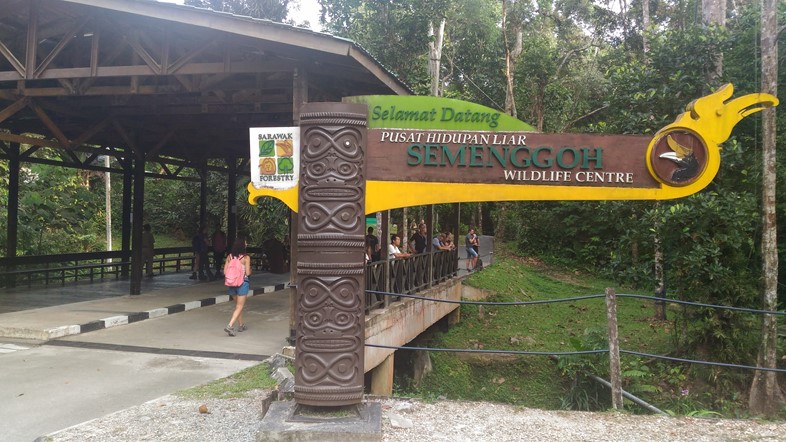 Sarawak Tour Semenggoh Wildlife Rehabilitation Centre 