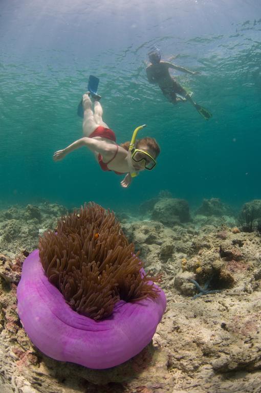 Pom Pom Island Resort Snorkeling