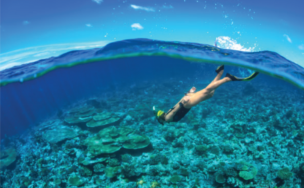 tioman island activities snorkelling blue sea