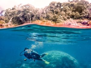 diving