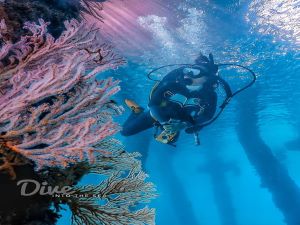 diving