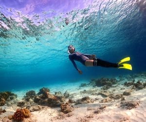 Sipadan Kapalai Dive Resort Diving