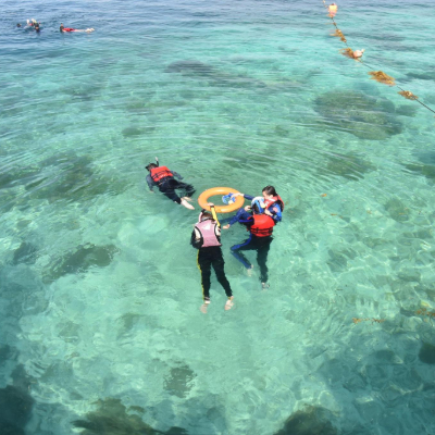 Sipadan Kapalai Resort Snorkeling