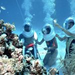 Pulau Lang Tengah Review – Small But Not Forgotten