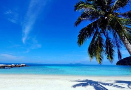 sari pacifica beach lang tengah blue tree