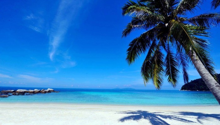 sari pacifica beach lang tengah blue tree