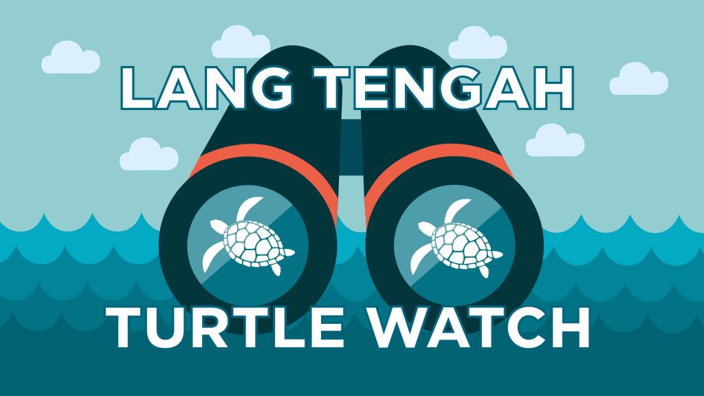 lang tengah turtle watch banner