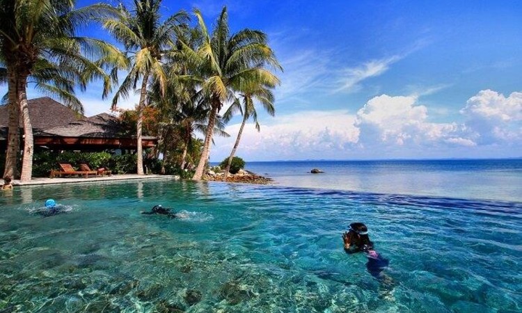 Pulau Tengah Marine Life johor