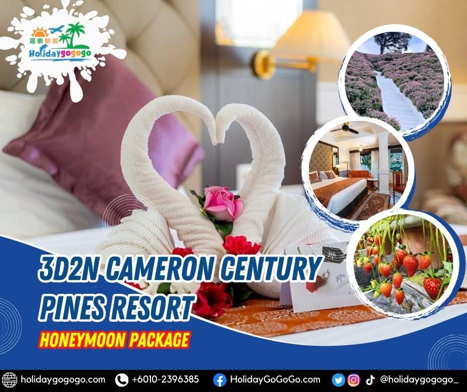 3d2n cameron highlands tour package