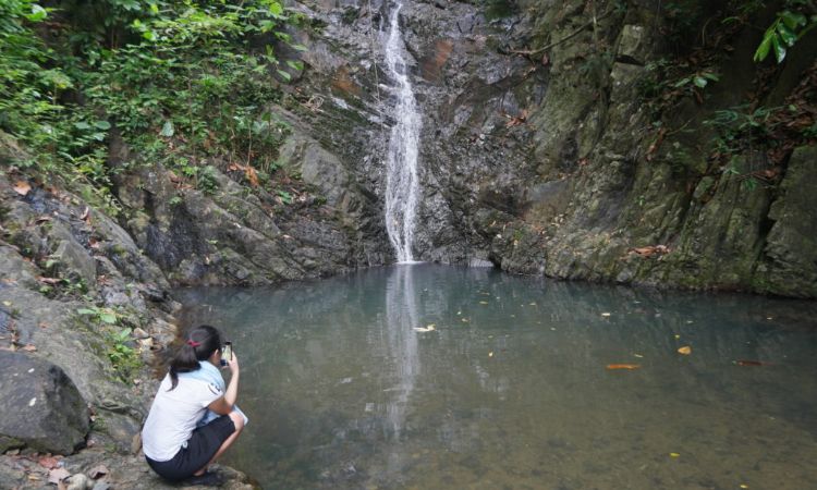 Pulau Tinggi