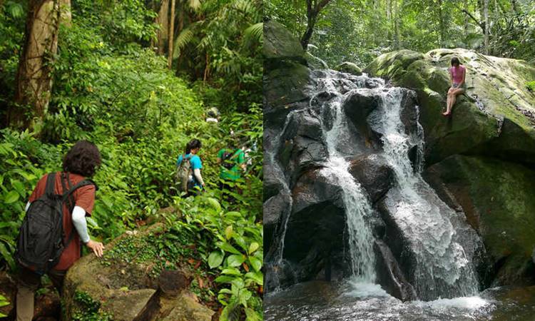 Brave the jungle trails of Tekek-Juara and take a detour to Ali's Waterfall