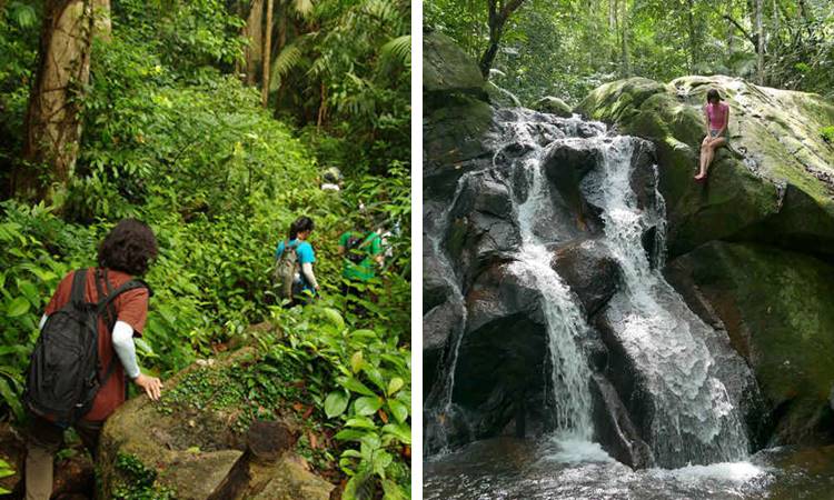 Jungle trekking in Tekek and Ali's Waterfall