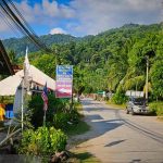 Tioman Attraction: Kampung Tekek (Tekek Village)