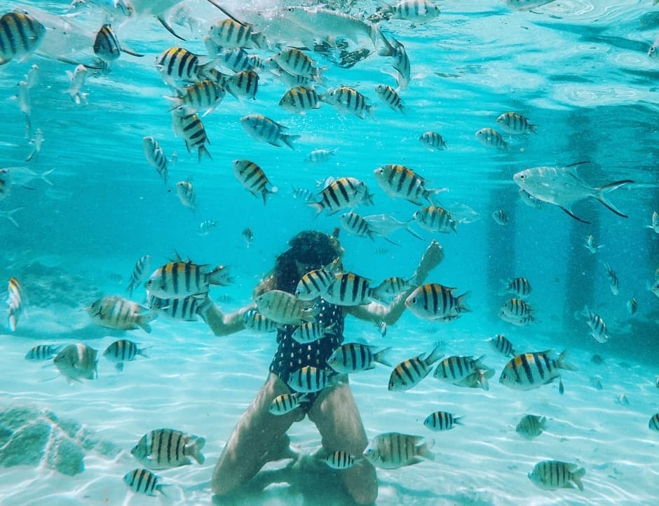 Snorkeling in Perhentian