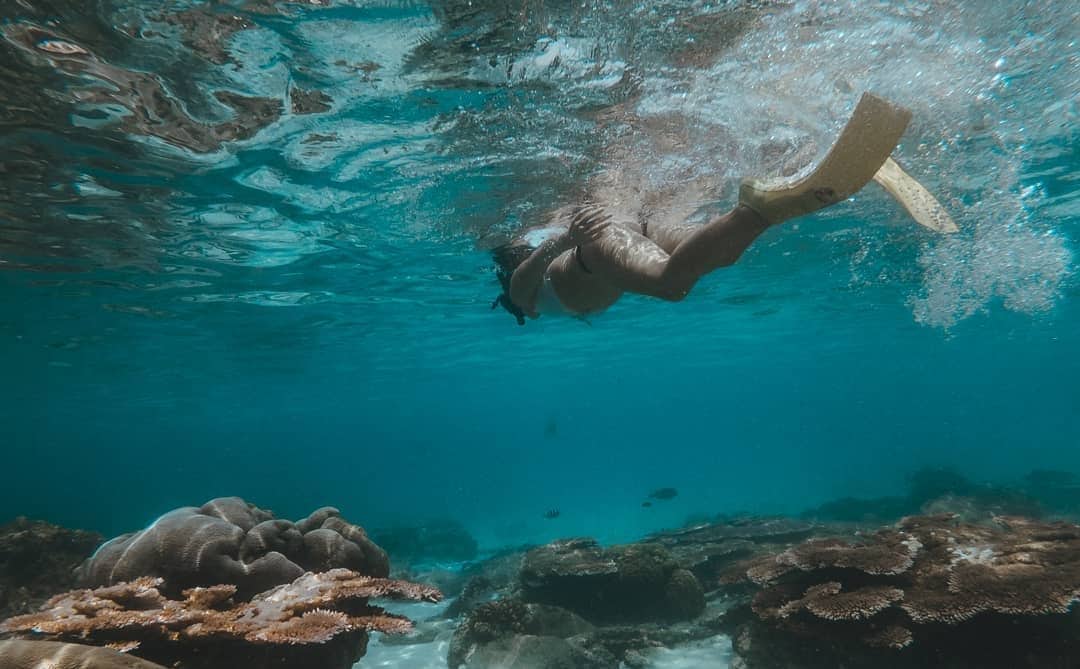 Snorkeling in Perhentian