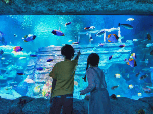 Legoland Aquarium