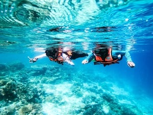 Borneo Resort - Snorkeling