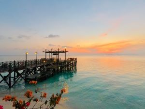 Jetty view