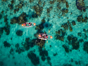 Kayaks
