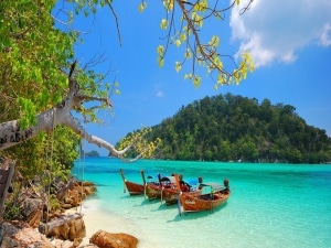 beach view