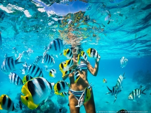 best snorkeling