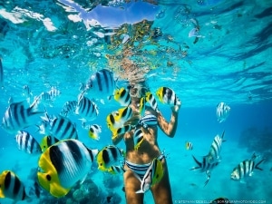 Koh Lipe Ananya Lipe Resort snorkeling