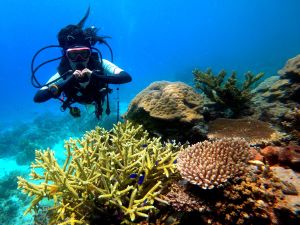 diving