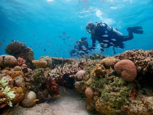 diving