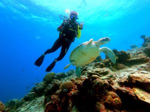 diving