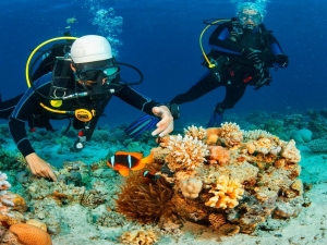 diving