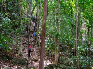 hiking 