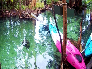 kayaking