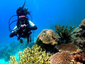 mataking diving