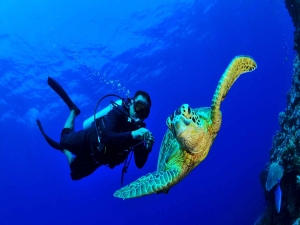 diving