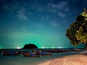 night view