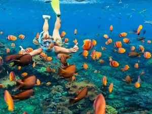 Snorkeling