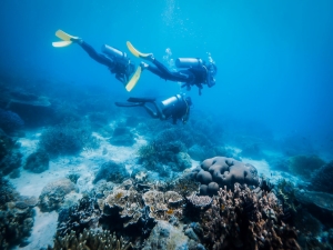 scuba diving