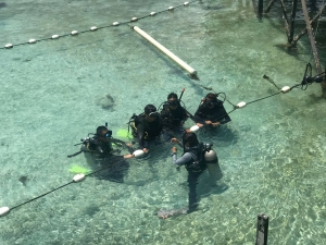 snorkeling