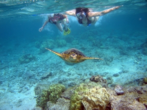 snorkeling 