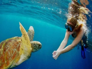 snorkeling turtle Mataking island
