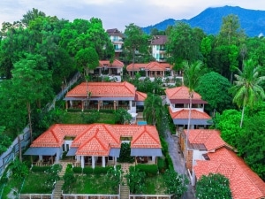 view