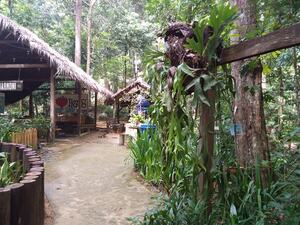 Tasir Kenyir - Taman Herba