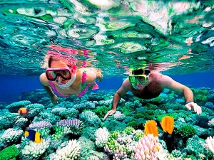 snorkeling