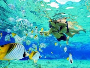 snorkeling 